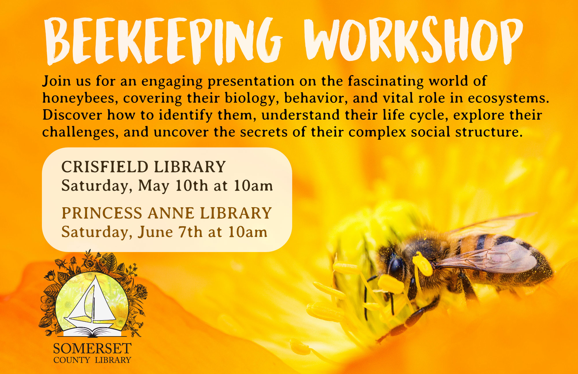 Beekeeping