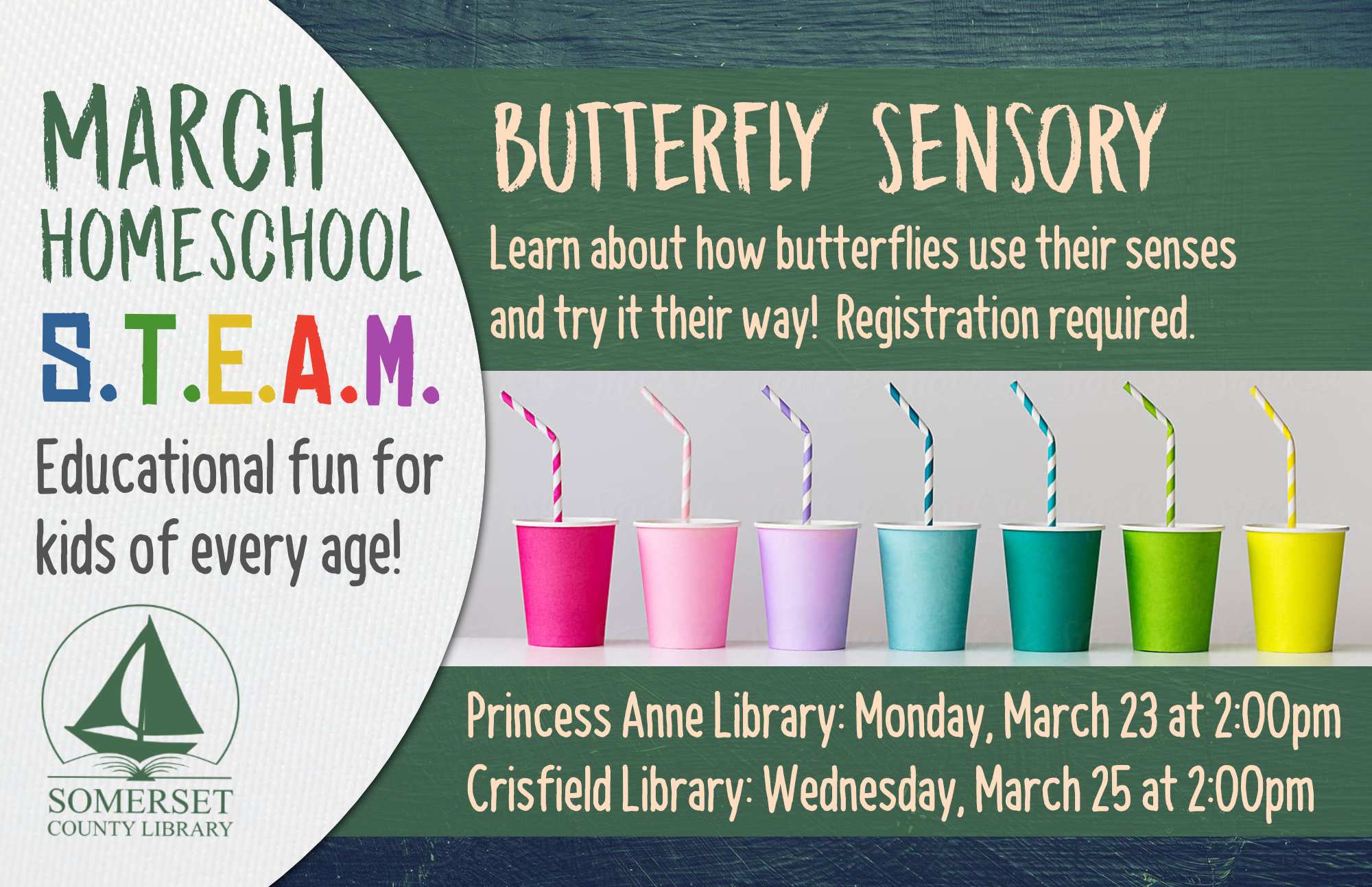 Homeschool STEAM PRINCESS ANNE: Mondays at 2:00 CRISFIELD: Wednesdays at 2:00 Educational fun for kids of every age! Stop by to register or call your local branch. BUTTERFLY SENSORY CYCLE Learn about how butterflies use their senses and try it their way! Princess Anne: March 23 Crisfield: March 25